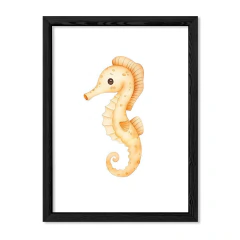 Imagen de Amigos del Océano Caballito de Mar