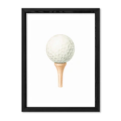 Imagen de Golf Club Pelota