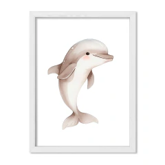 Amigos del Océano Delfín - tienda online