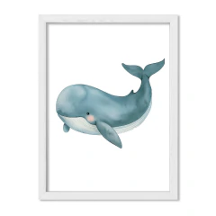 Amigos del Océano Ballena - tienda online