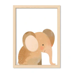 Safari Magico Elefante