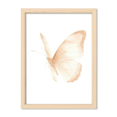 Mariposa Marfil 3 - El Nido - Tienda de Objetos