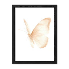 Imagen de Mariposa Marfil 3