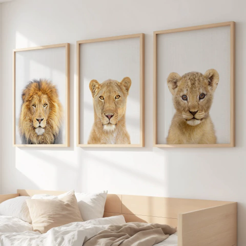 Set 3 cuadros - Reino de Leones - comprar online