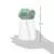 Garrafinha Tritan Verde - Buba - comprar online