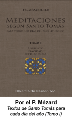 Meditaciones según Santo Tomás TOMO I