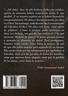 AMOR Y DEVOCIÓN AL ALMA DE CRISTO - P- EMMANUEL ANDRÉ - comprar online