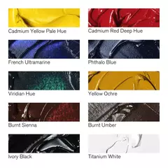 Set Oleo Winton WOC 10 x 21 Ml en internet