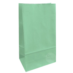 Bolsas sin manijas Lisas 12 x 24 x 07 cm