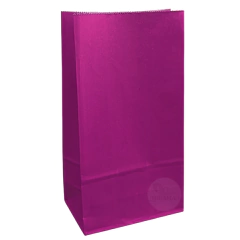 Bolsas sin manijas Lisas 12 x 24 x 07 cm - tienda online