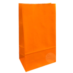 Bolsas sin manijas Lisas 12 x 24 x 07 cm