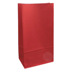 Imagen de Bolsas sin manijas Lisas 12 x 24 x 07 cm