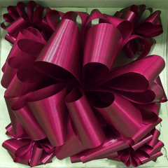 Kit de moño para auto - Papelera Miramar