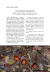 Algo más que un monte - Ecoval Ediciones
