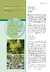 Arboles Nativos de Argentina - Tomo III: Noroeste - comprar online