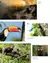 Parque Nacional Iguazú - Edición especial (Tapas duras) en internet