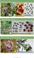 Manual de cultivo y forestación de especies nativas para el centro de Argentina