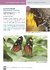 Maravillas Aladas de Argentina - Ecoval Ediciones