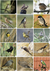 Libro de Figuritas de Aves del Centro de Argentina