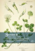 Cocina Silvestre - comprar online