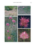Flores del Centro de Argentina I - tienda online