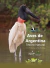 Aves de Argentina - Tesoro Natural