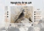Libro de Figuritas de Aves del Centro de Argentina - comprar online
