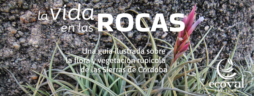 Imagen del carrusel 1
