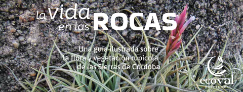 Imagen del carrusel 1