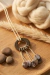 COLLAR en internet