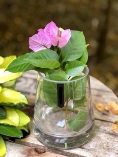 Florero Victoria