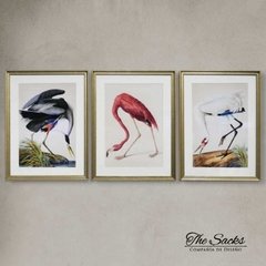 Set x3 cuadros Grullas 64x49cm en internet