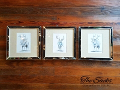 Set x3 cuadros Ciervos 25x25cm