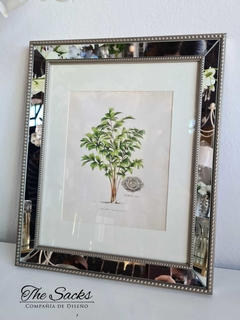 Cuadro Palmera Antique 34x41cm - tienda online