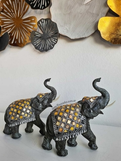 Elefante Afrika