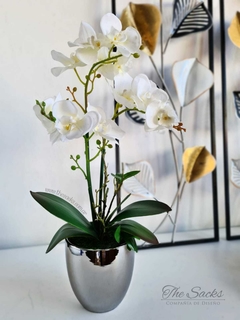 Orquídea Alison en internet