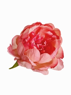 Vara Peonia rosa oscuro - comprar online