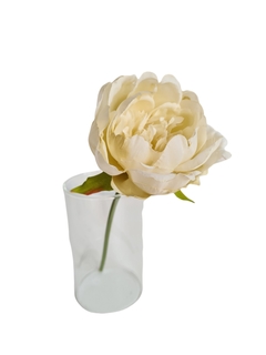 Vara Peonia crema