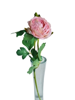 Vara ranuculus rosa claro