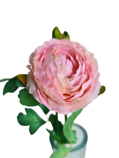 Vara ranuculus rosa claro - comprar online