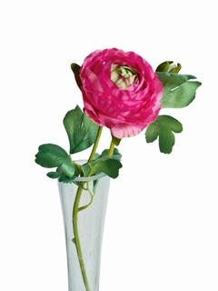 Vara ranuculus rosa oscuro