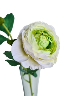 Vara ranuculus blanco - comprar online