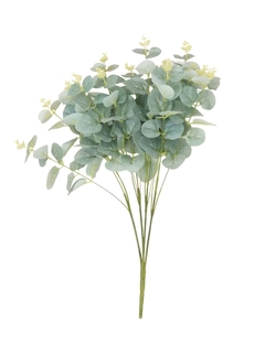 Bouquet eucalipto verde seco
