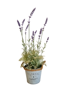 Lavanda maceta metal
