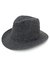 chapeu fedora