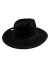 chapeu fedora