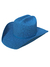 chapeu country infantil