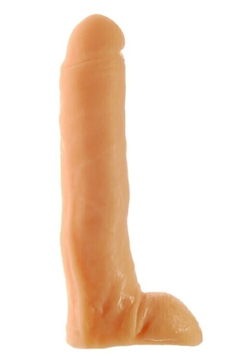 40-800-31 Vertebrado Ciber Brad Stone CH