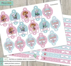 Kit imprimible Patrulla Canina Skye Everest - Paw Patrol en internet
