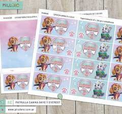 Kit imprimible Patrulla Canina Skye Everest - Paw Patrol - Pirulero
